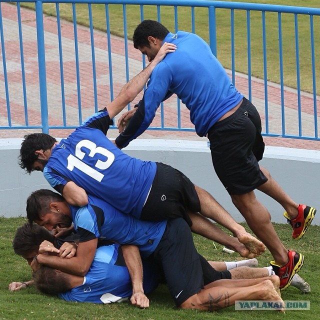 Спорт с улыбкой, интересности в сети