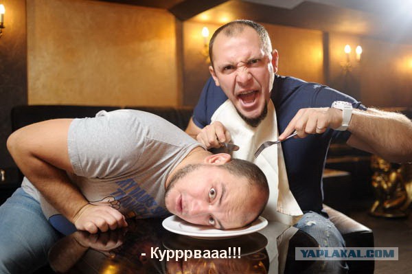 Пшеки отдыхают красиво