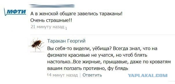 Смешные комментарии из социальных сетей.