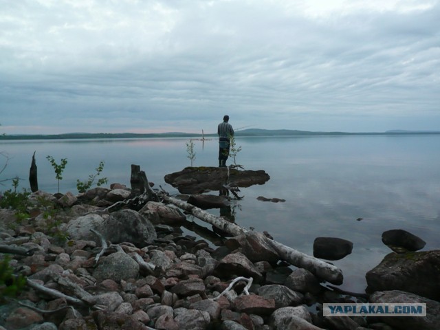 Две недели на Иовском водохранилище. Соколозеро.