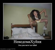Что это?