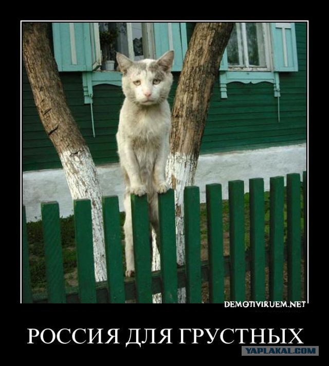 Почему россиянин мало улыбается...18+