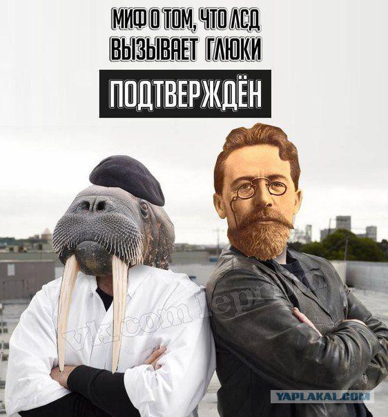 Смешные картинки