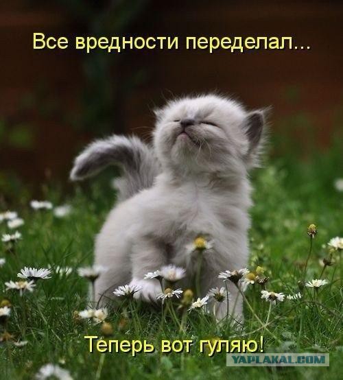 Смешные картинки