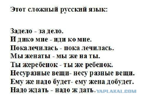 Картинки из интернетов