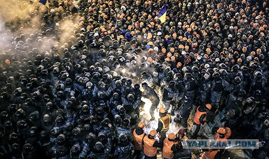 Драка в Киеве. Милиция бьет онижедетей