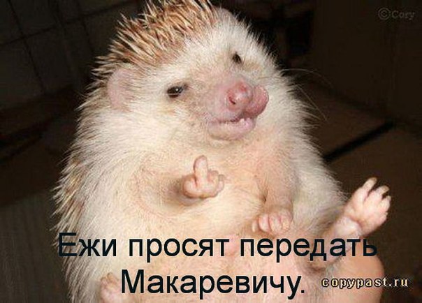 Санкции в действии