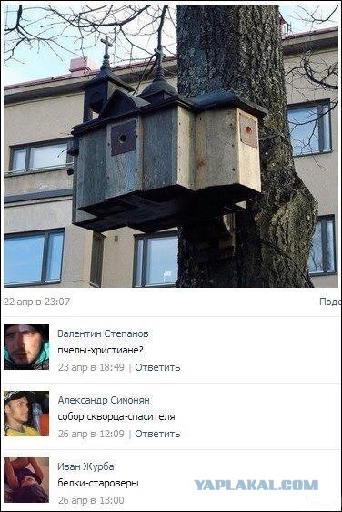 Смешные комментарии из социальных сетей