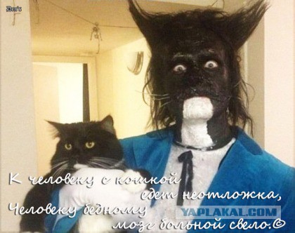 Пятничные картинки