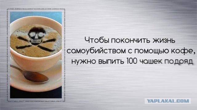 Интересные факты о разном