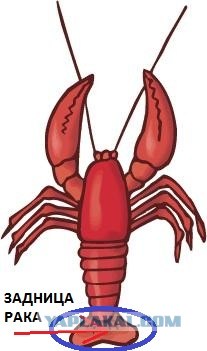 Надрала ему задницу!