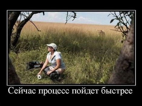 Картинки + гифки.