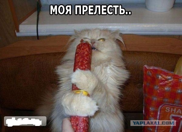 Разговор продолжается
