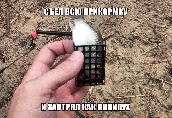 картинки на выходные