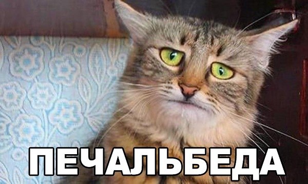 Картинки и демотиваторы
