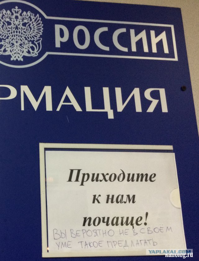 Весёлые картинки