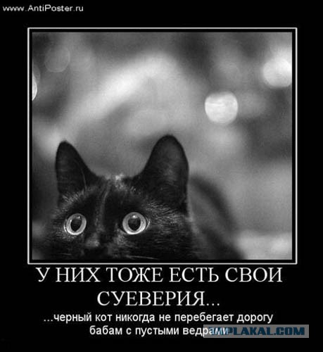 Приметы и суеверия, которые могут довести до психиатрической больницы