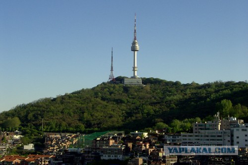 13 классных видов из туалетов!