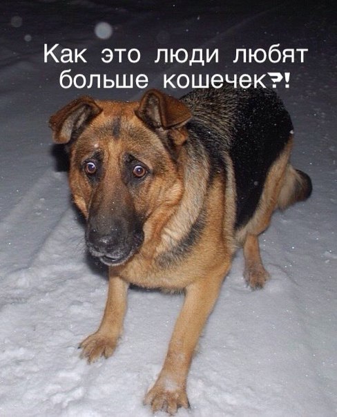 Подборка картинок 16.02.16