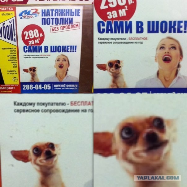 Картинки из ваших этих итернетов...3