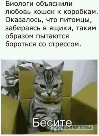 Подборка идиотских фотографий часть 2