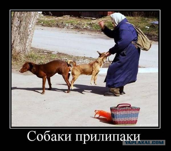 Дерьмо случается