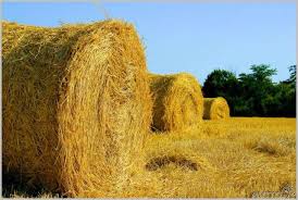 20 фото со всего мира, удивительно напоминающих Россию