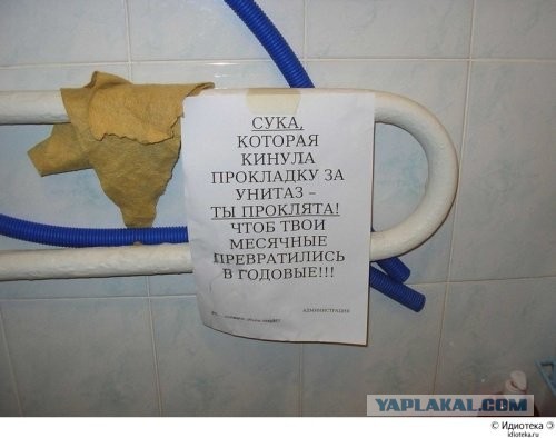 Смешные картинки с надписями