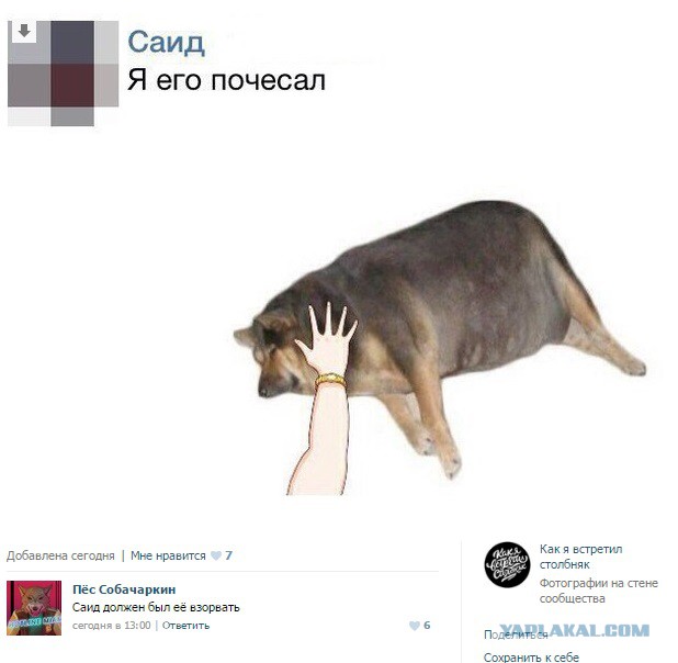 Смешные комментарии из социальных сетей 10.06.2016