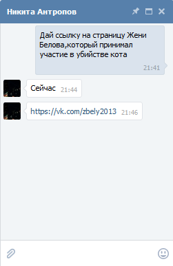 Во Владимире подростки сняли на видео жестокое убийство котёнка