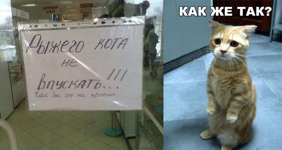 Мохнатые беспредельщики