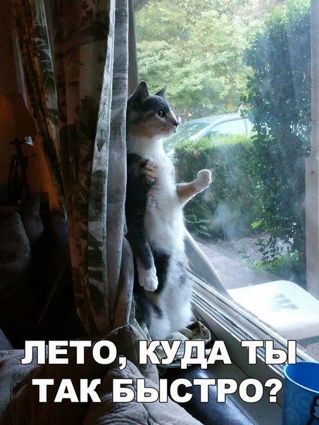 Подборка картинок с просторов...