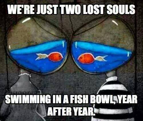 Мой Pink Floyd