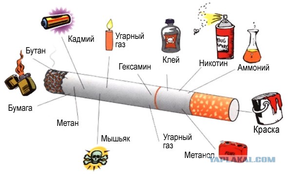 Как правильно разговаривать с вейпером, 18+