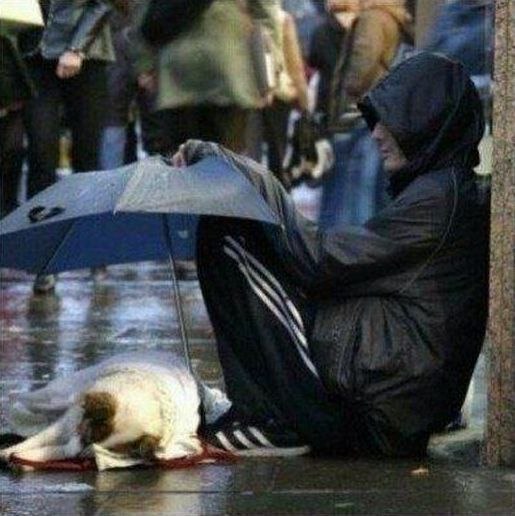 Прикольные животные