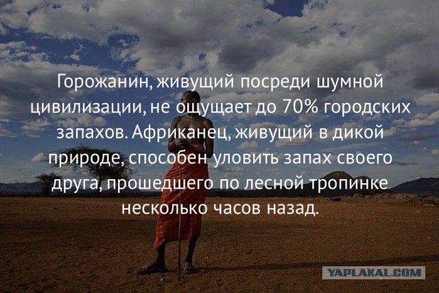 40 интересных фактов в картинках