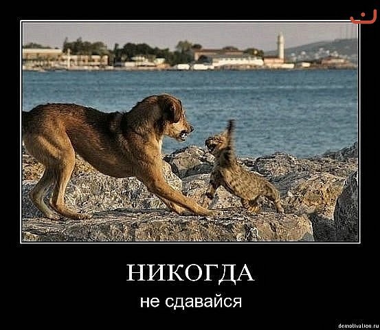 Немножко картинок с буквами, типа демотиваторы