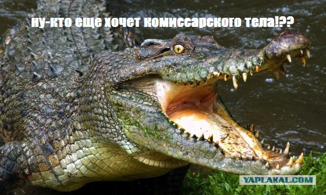 Трое братьев погибли при изнасиловании крокодила.