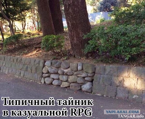 Забавные картинки вразнобой