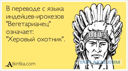 Веганство как одна из форм психического расстройства