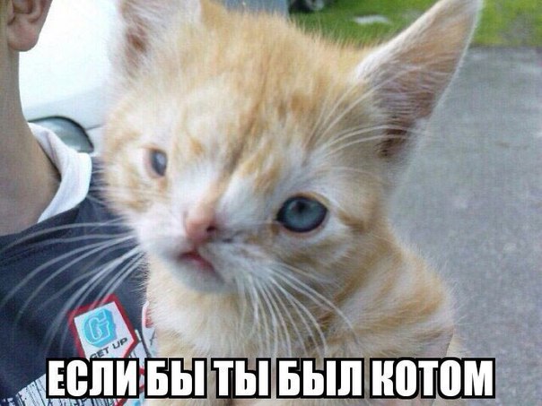 Первомайская чернуха. Однако, здравствуйте!