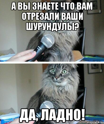 Один парень решил поймать своего кота на воровстве, а поймал на мокрухе