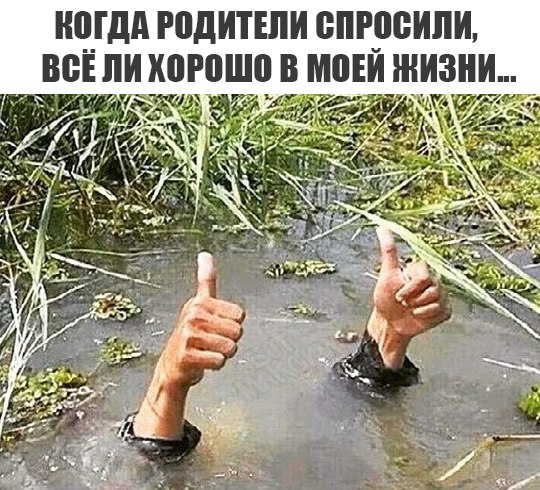 Прикольные картинки 28.06.2017.