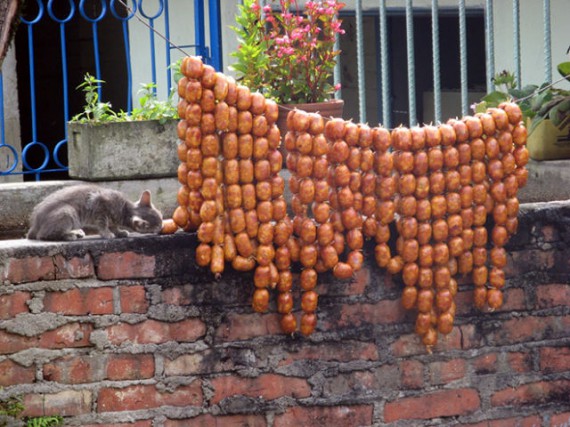 25 животных, которые ни за что не отдадут свое