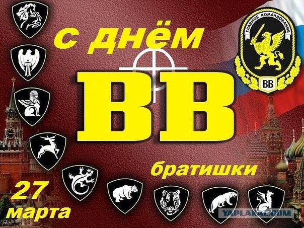 Беседка ФиС ЯПа 5