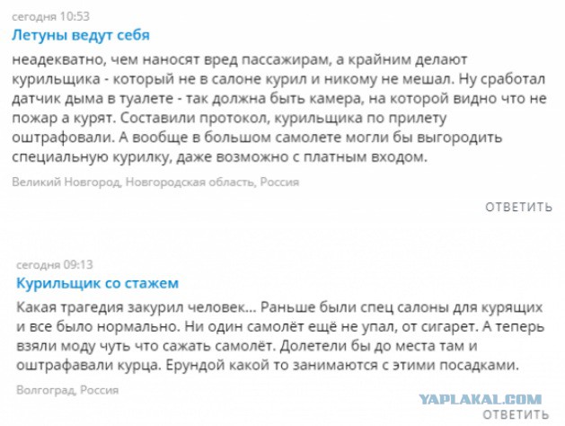 Самолет экстренно сел во Внукове из-за закурившего пассажира