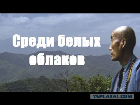 Люди-загадки: самые известные отшельники последних лет и их судьбы