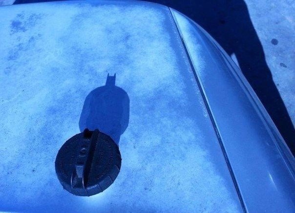 Подборка интересных и веселых картинок