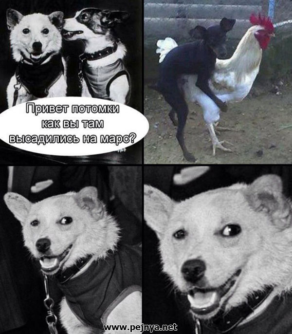 Немного картинок в этот вторник