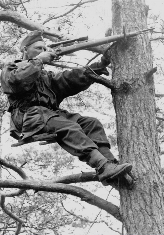 История в фотографиях